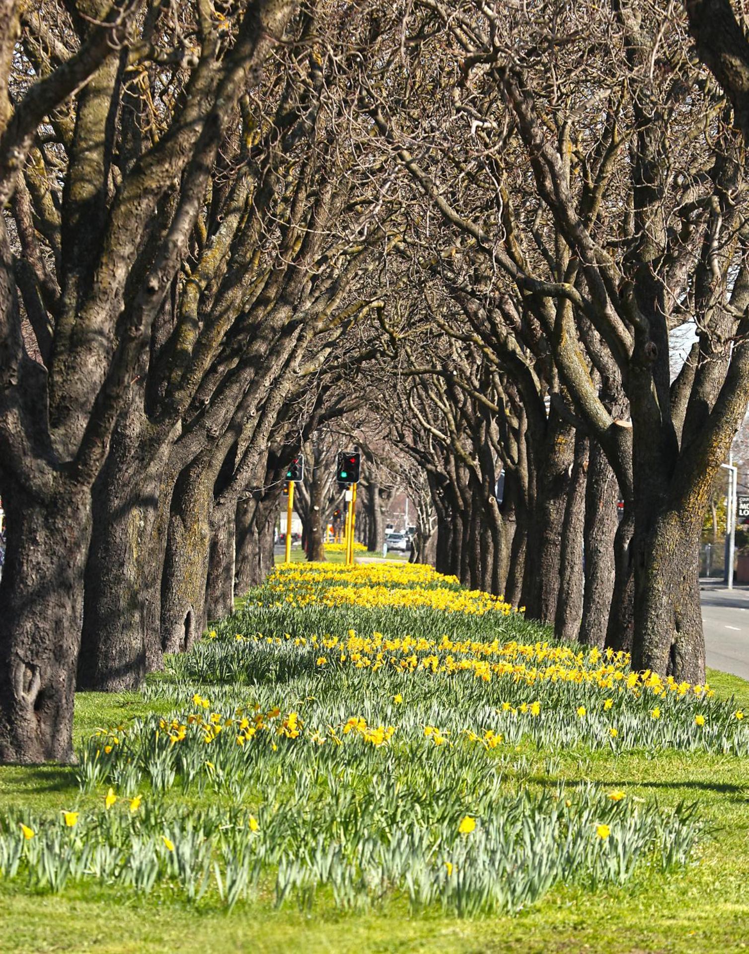Chic Studio In The Heart Of Christchurch Luaran gambar